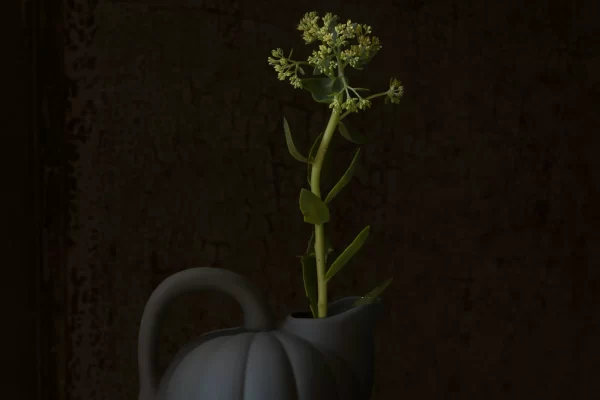 manufacturededigoin_E_Shop_Pichet_Melon_Orage